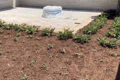 96547D92-D56E-4808-92C3-F8C1EA4D208E