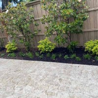 0F5E5341-845F-4CEE-9E2A-DF7907FE831F