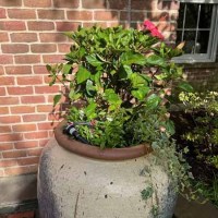 1_70380878006__6E5B0274-3036-4F70-BFB1-0C2323C4A1C5