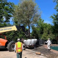 AA09E963-D2C0-494D-9F1E-41603B773994