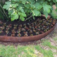 C0AC6E21-C56D-4765-B335-A849ABD4D1A3