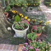 CBEC3A08-0D14-45C6-8720-03849D2DFF29